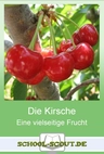 Die Kirsche - eine vielseitige Frucht (Für Grundschule und Sek I, 5.-6. Jahrgangsstufe) - Arbeitsblatt Sachunterricht - Sachunterricht