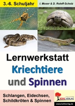 Lernwerkstatt: Kriechtiere und Spinnen - Schlangen, Eidechsen, Schildkröten & Spinnen - Biologie