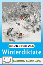 Winter- und Weihnachtsdiktate für das 3. Schuljahr - Winterliche Diktate im Deutschunterricht - Deutsch