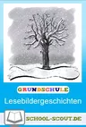 Lesebildergeschichten für die ersten Leseversuche: Advents-/Weihnachtszeit - Lesen lernen leicht gemacht - Deutsch