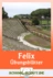 Übungsblätter zum Lehrbuch "Felix" - Lektionen 16-20 - Felix - Ausgabe A - Latein