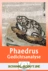 Gedichtanalyse: Phaedrus I,1: Der Wolf und das Lamm (Fabel in Versform mit ca. 90 Wörtern) - Ideal zur Vorbereitung auf die Zentrale Prüfung in Klasse 10! - Latein