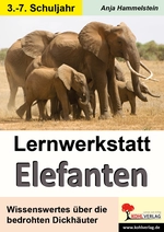 Lernwerkstatt: Elefanten - Wissenswertes über die bedrohten Dickhäuter - Sachunterricht