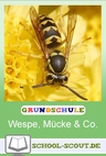Lernwerkstatt Insekten: Zecken, Wespen, Mücken - die Insekten des Sommers - Veränderbare Arbeitsblätter für den Unterricht - Sachunterricht