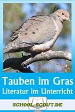 Lektüren im Unterricht: Wolfgang Koeppen - Tauben im Gras - Literatur fertig für den Unterricht aufbereitet - Deutsch