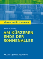 Interpretation zu: Am kürzeren Ende der Sonnenallee - Thomas Brussig - Textanalyse und Interpretation mit ausführlicher Inhaltsangabe - Deutsch