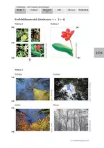 Frühblüher - Pflanzenbestimmung im Biologieunterricht - Biologie