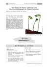 Vom Samen zum Spross - Keimungsbedingungen und Wachstumsbedingungen von Pflanzen erforschen - Biologie
