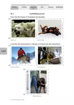 Wolf und Hund als Jäger - Sinnesleistungen und Verhaltensformen - Biologie