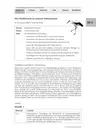 Der Weißstorch in seinem Lebensraum - Steckbrief, Brutzeit, Nahrung, Störche, Bilder … - Biologie