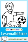 30 differenzierte Lesemalblätter zum Thema Fußball für die 1. und 2. Klasse - School-Scout Unterrichtsmaterial Deutsch - Deutsch
