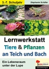 Lernwerkstatt: Tiere & Pflanzen an Teich und Bach - Ein Lebensraum unter der Lupe - Sachunterricht
