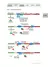 Prinzipien der Genregulation mit 1 Farbfolie - Die Steuerung der Aktivität von Genen / Genexpression - Biologie