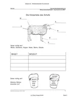 Woher kommt die Wolle? - Das Schaf (1.-2. Klasse) - Tiere auf dem Bauernhof - Grundschule - Sachunterricht