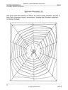 Spinnen auf der Spur (1.-2. Klasse) - Kreative Ideenbörse Grundschule - Sachunterricht