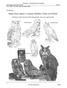 Der Uhu, Vogel des Jahres 2005 - Ich lerne viele Tiere kennen - Arbeitsmaterialien Grundschule - Sachunterricht