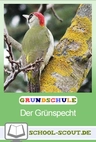 Der Grünspecht - Wissenswertes rund um den beliebten Vogel - Die Natur spielerisch entdecken - Sachunterricht
