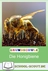 Die Honigbiene - Fächerübergreifendes und differenziertes Stationenlernen - Tiere, Pflanzen, Lebensräume - Kinder entdecken Natur und Leben - Sachunterricht