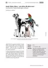 Hund, Katze, Maus - wie sehen die denn aus? - Anschauliche Tierbeschreibungen verfassen - PDF-Format - Deutsch