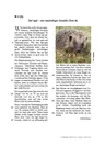 Das ist ja tierisch! - Ein Lesetraining mit Texten über die Welt der Tiere - Deutsch