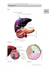 Die Leber - ein Wunderwerk mit vielfältigen Aufgaben - Unterrichtseinheit über die größte Drüse des menschlichen Körpers - Biologie