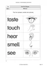 Our Five Senses - You Smell and Taste and Feel and See and Hear - Unsere fünf Sinne im Englischunterricht der Grundschule - Englisch