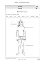 My body - Englischunterricht in der Grundschule - Unterrichtseinheit rund um das Thema Körper - Englisch