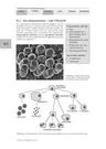 Einführung in die Immunbiologie - Bakterien, Viren und Pilze sowie andere körperfremde Stoffe - Biologie