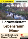 Lernwerkstatt: Lebensraum Moor - Von der Entstehung bis zum Torfabbau - Erdkunde/Geografie