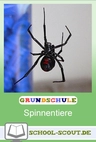 Spinnen, Skorpione, Weberknechte - Unterrichtsmappe für wissbegierige ForscherInnen - Praktisch, kindgerecht und sofort einsetzbar! - Sachunterricht