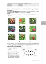 Die Familie der Rosengewächse - Stationenlernen mit Selbstkontrollkarten mit 4 Farbseiten - Biologie