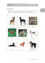 Dem Hund auf der Spur - eine Rätselreise zum Hund - Rätsel – Motivation durch Abwechslung und Methodenvielfalt in Ihrem Unterricht - Biologie