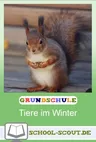 Lernwerkstatt: Tiere im Winter - Klasse 3/4 - Tiere, Pflanzen, Lebensräume - Kinder entdecken Natur und Leben - Sachunterricht