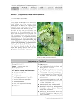 Farne - Doppelwesen mit Schattendasein - Unterschiede zwischen Farn- und Blütenpflanzen - Biologie