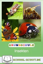Insekten kindgerecht erforschen - Stationenlernen im praktischen Paket - Lernen an Stationen - praktisch, kindgerecht und sofort einsetzbar! - Sachunterricht