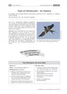 Vögel auf Wanderschaft - der Vogelzug (Klasse 6/7) Materialien im PDF-Format - Mit einem Kompetenztest zum Lesen von Diagrammen - Biologie