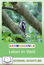 Lernwerkstatt: Leben im Wald - Tiere, Pflanzen, Lebensräume - Kinder entdecken Natur und Leben - Sachunterricht
