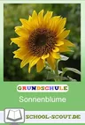Lernwerkstatt: Sonnenblume - Fächerübergreifend einsetzbar! - Praktische und sofort einsetzbare Lernwerkstatt! - Sachunterricht