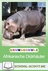Flusspferd, Elefant & Co - Lernwerkstatt: Afrikanische Dickhäuter und Huftiere - Tiere, Pflanzen, Lebensräume - Kinder entdecken Natur und Leben - Sachunterricht
