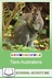 Lernwerkstatt: Australische Tiere - Kindgerechtes Wissen über Koala, Känguru & Co - Tiere, Pflanzen, Lebensräume - Kinder entdecken Natur und Leben - Sachunterricht