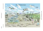 Weltnaturerbe Wattenmeer - Stationenlernen zum Lebensraum Wattenmeer - Sachunterricht