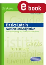 Basics Latein Nomen und Adjektive - Einfach und einprägsam Grundwissen wiederholen - Latein