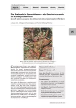 Die Steinzeit in Sprechblasen - ein Geschichtscomic im Anfangsunterricht - Durch Comicanalyse die Dekonstruktionskompetenz fördern - Geschichte