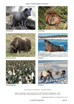 Von der Antarktis bis zum Wattenmeer - Lebensräume entdecken - Lebensräume erkennen, benennen und verstehen - Sachunterricht