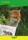 Der Rotfuchs - Stationenlernen - Lernzirkel zum heimischen Fuchs - Biologie