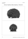 The Hedgehog / Der Igel - Vokabular zum Lebensraum des Igels - Englisch