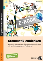 Grammatik entdecken (2. bis 4. Klasse) - Einfaches Diagnose- und Übungsmaterial für Schüler mit sonderpädagogischem Förderbedarf - Deutsch