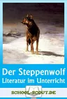 Lektüren im Unterricht: Hesse - Der Steppenwolf - Literatur fertig für den Unterricht aufbereitet - Deutsch