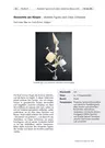 Geometrie am Körper - abstrakte Figuren nach Oskar Schlemmer - Verändern, vereinfachen, verwesentlichen – Mittel der Abstraktion - Kunst/Werken