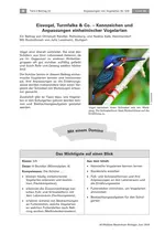 Eisvogel, Turmfalke & Co. - Kennzeichen und Anpassungen einheimischer Vogelarten - Biologie